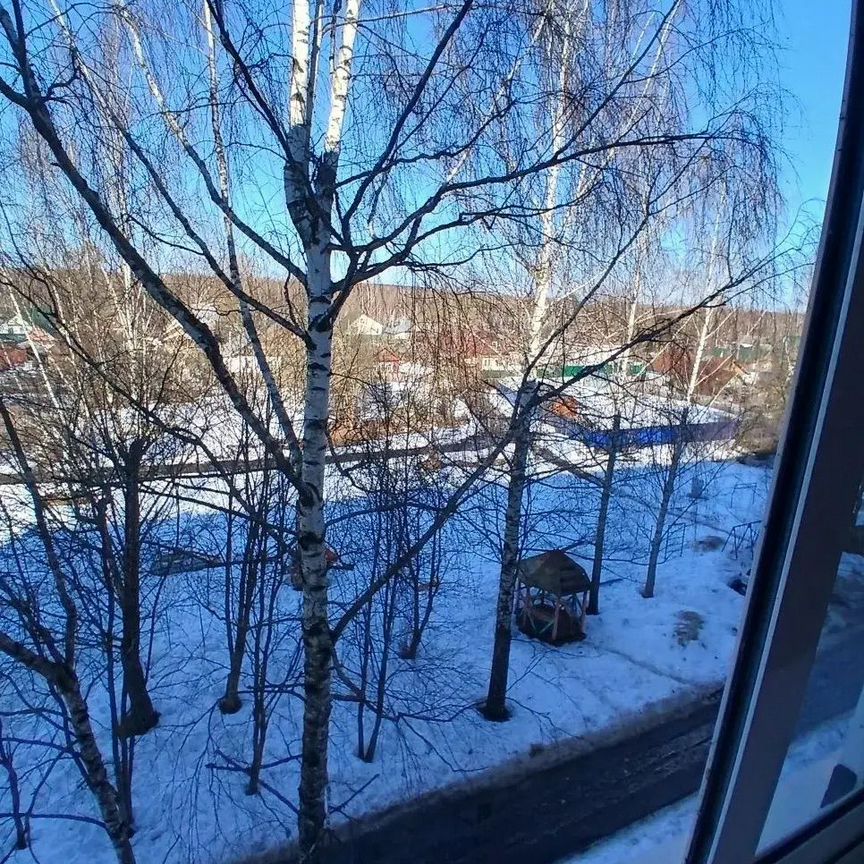 Квартира 1-комн. 21.4 м² в пос. Старая Вичуга — фото 9 из 9