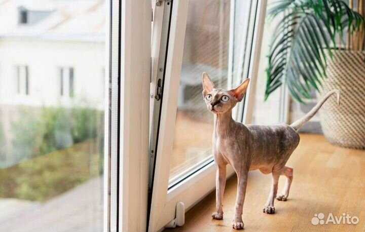 Остекление окон и балконов пвх