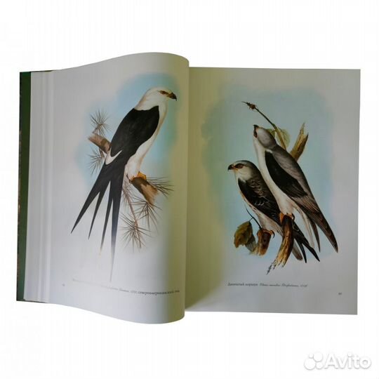 Подарочная книга Птицы Европы, Америки, Азии