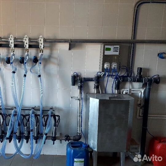 Молокопровод на 100 голов