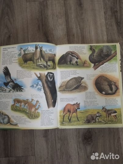 Атлас животных