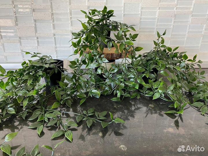 Икеа фейка вьюнок