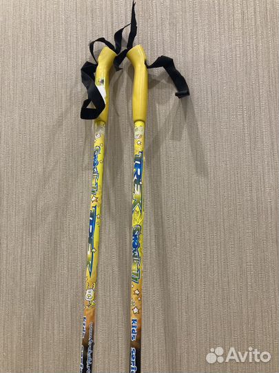 Лыжные палки