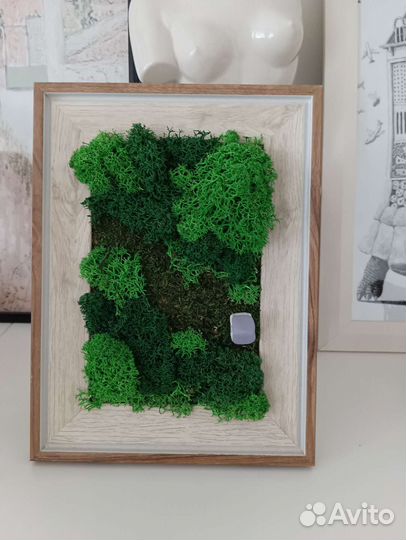 Картина из стабилизированного мха