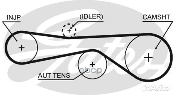Ремень грм audi A5/A6/A4 2.7 TDI - 3.0 TDI 07