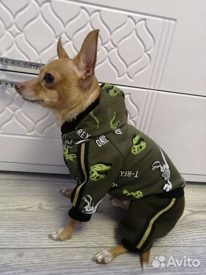 Одежда для собак, кошек