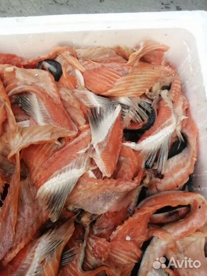 Свежая обрезь (Лосось)