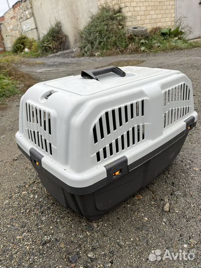 Переноска skudo 3 в аренду