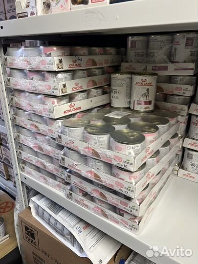 Royal Canin babycat 195гр мусс (паштет)