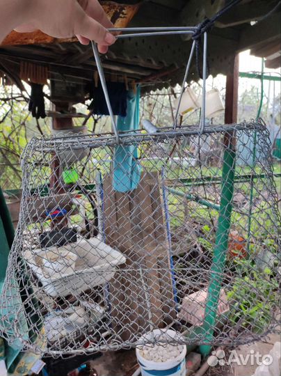 Садок рыболовный