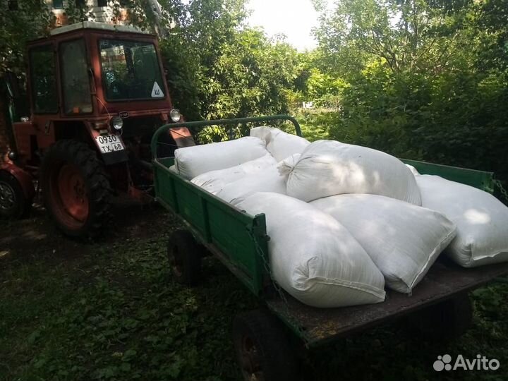 Копатель корнеплодов, сажалка, косилка