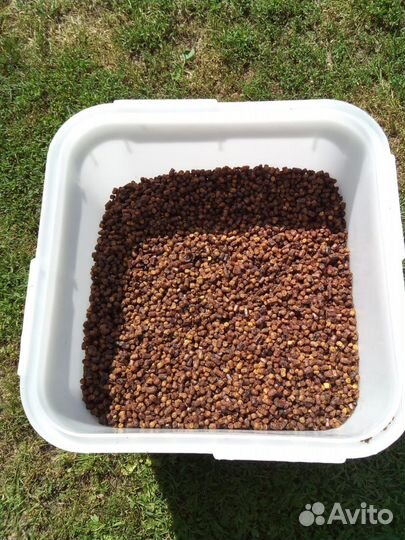 Перга пчелиная