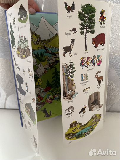 Найди и покажи. На природе