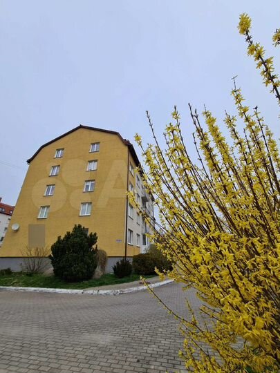 1-к. квартира, 42 м², 1/4 эт.