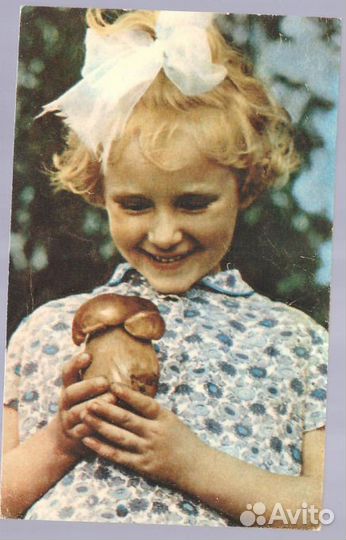 Коллекция открыток 