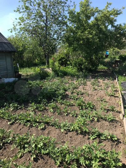 Участок 4,7 сот. (СНТ, ДНП)