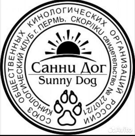 Регистрация помётов щенков