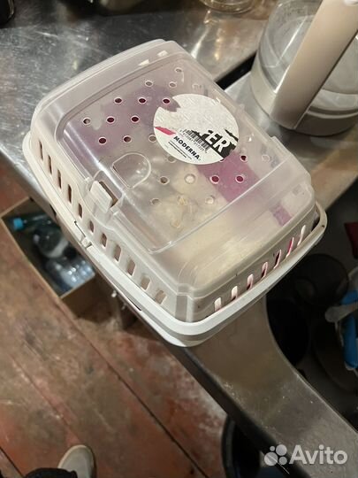 Переноска для грызуна