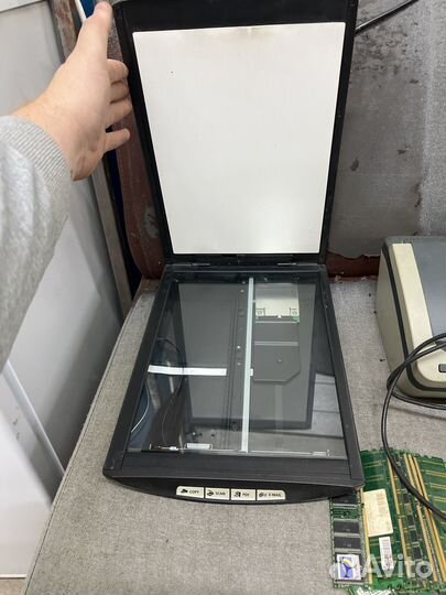 Сканер canoscan lide 100