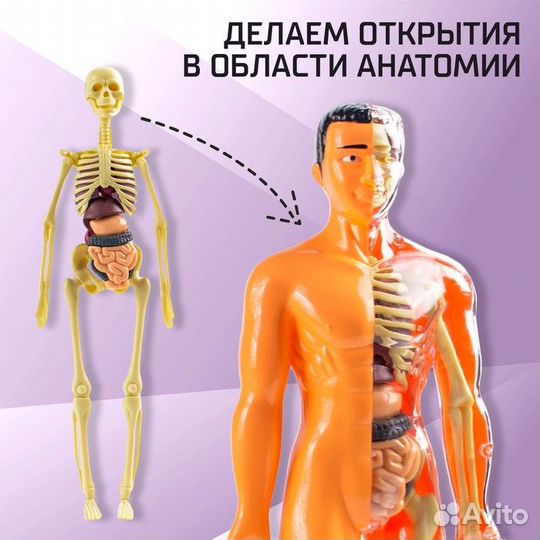 Эврики Научный опыт 