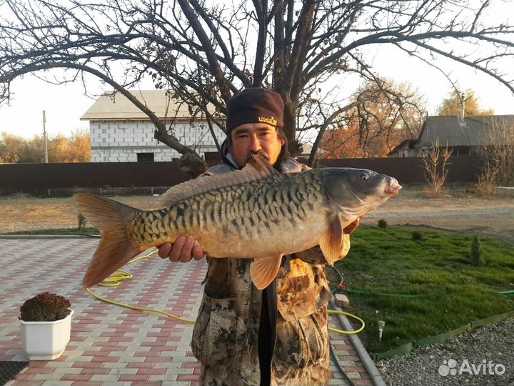 Рыбалка и отдых в дельте р. Волга