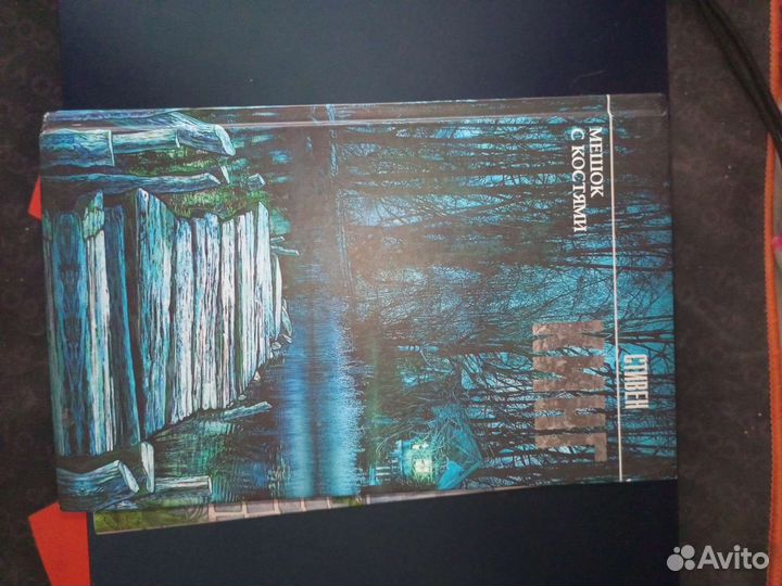 Стивен Кинг Мешок с костями