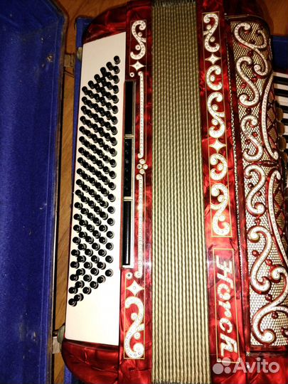 Аккордеон Horch