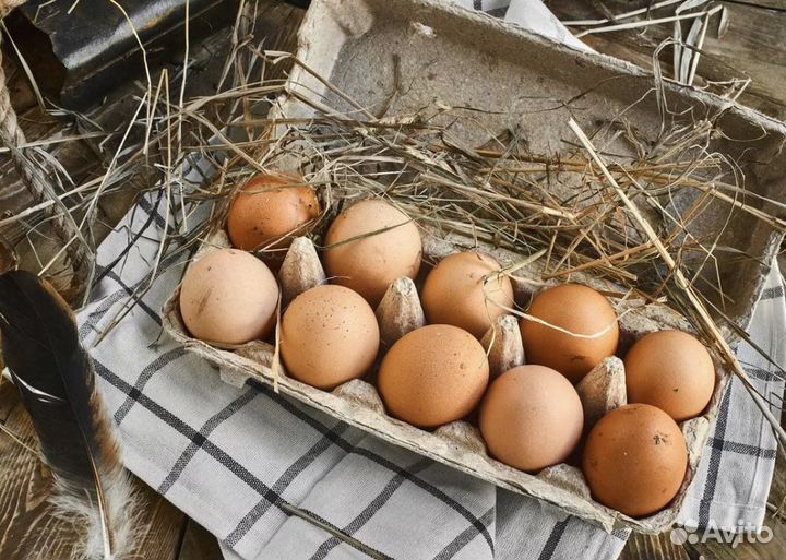 Продам яйцо куриное