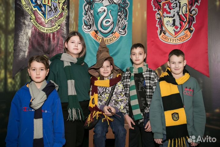 День рождения в Мире Гарри Поттера Пакет S