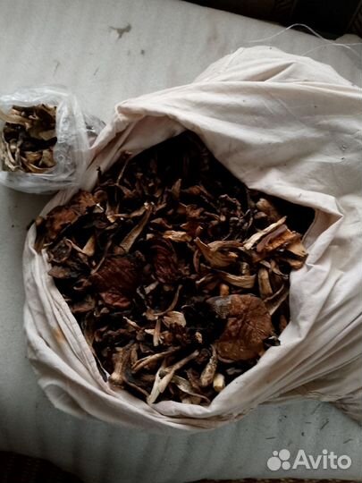 Сушеные грибы подосиновик