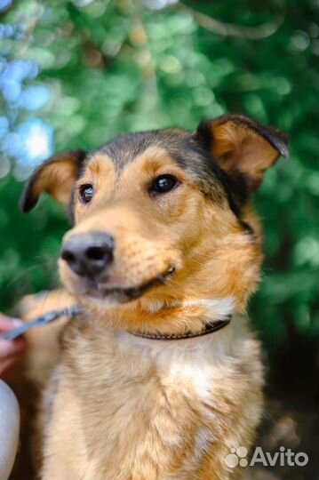 Разве он заслужил всю жизнь просидеть в клетке