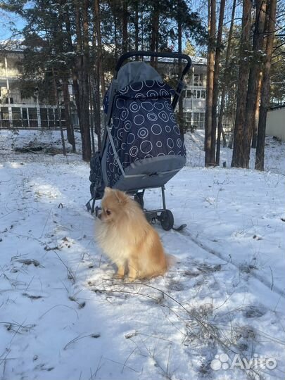 Коляска санки