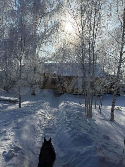 Дом 100 м² на участке 17,5 сот.