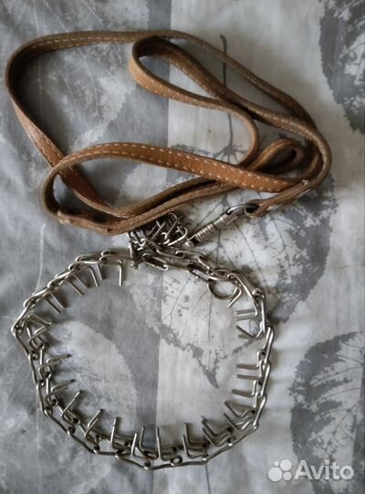 Строгий ошейник