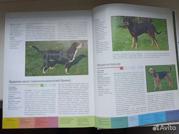 Справочник Породы собак