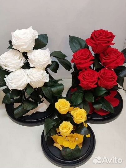 Подарок на новый год / Роза в колбе