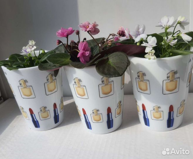 Кружки 6 штук сервиз в офис, салон красоты кашпо