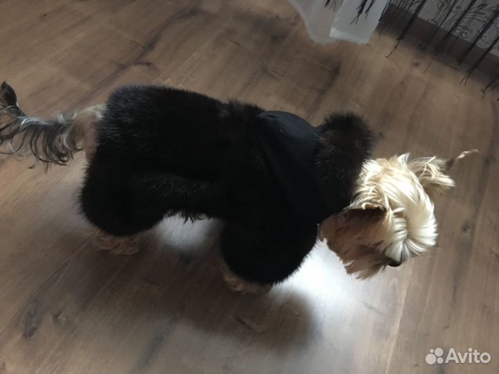 Шубка норка для собачки