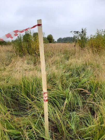 Участок 25 сот. (ИЖС)