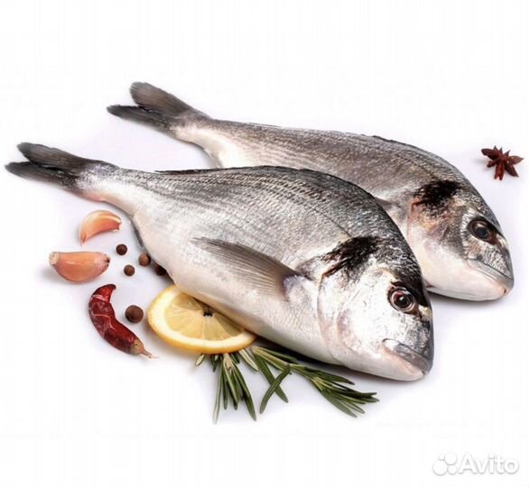 Дорадо рыба 300-400гр свежмороженная