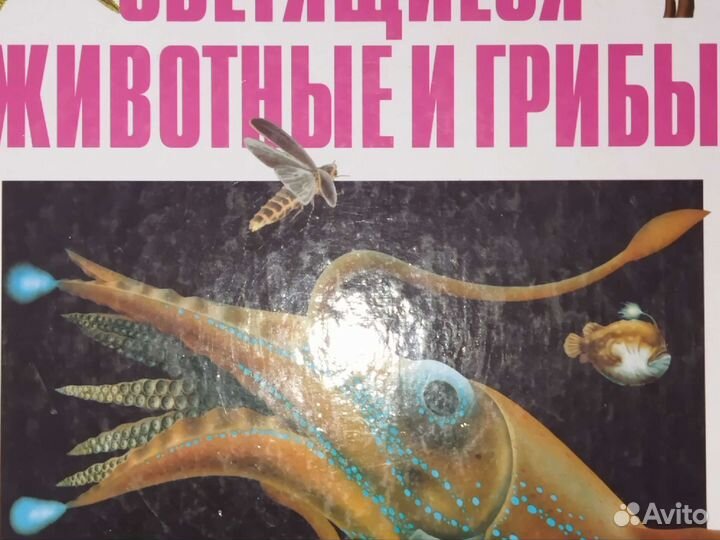 Энциклопедические книги для детей