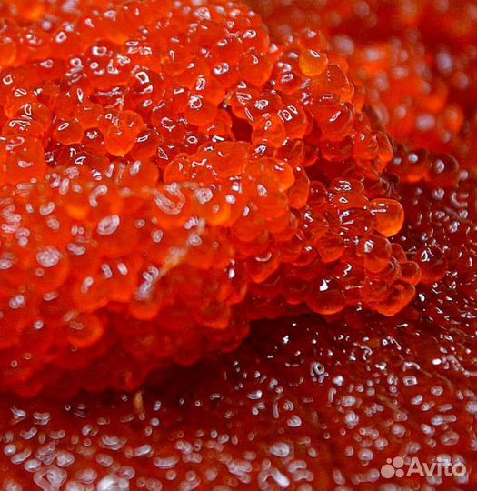 Икра красная оптом свежий улов