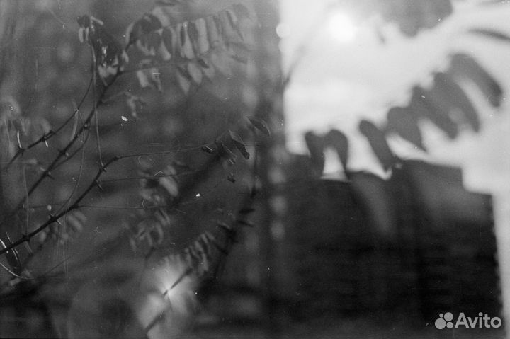 Фотоплёнка 35мм (Чёрно-белая)