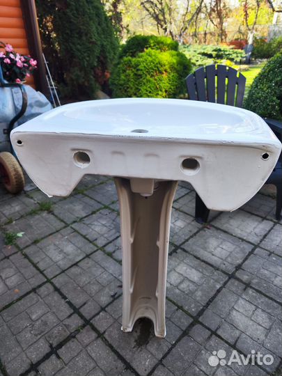 Раковина тюльпан