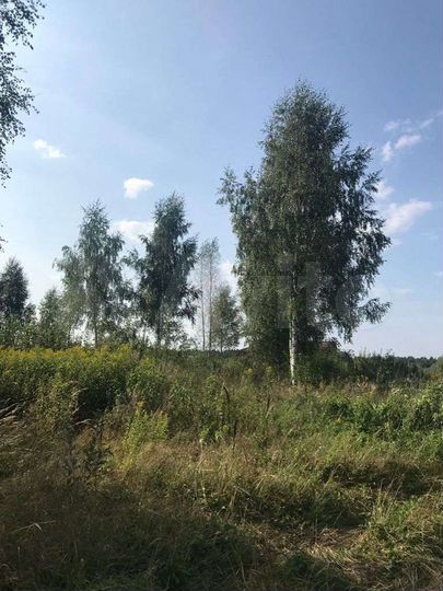 Участок 64 сот. (ИЖС)