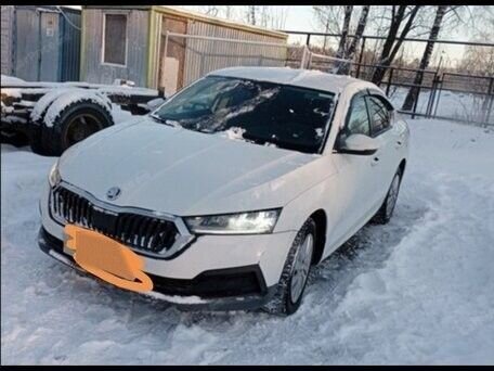 Skoda Octavia: фото владельца