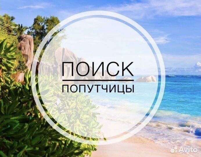 Ищем попутцицу для туриста