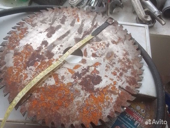 Церкулярный диск