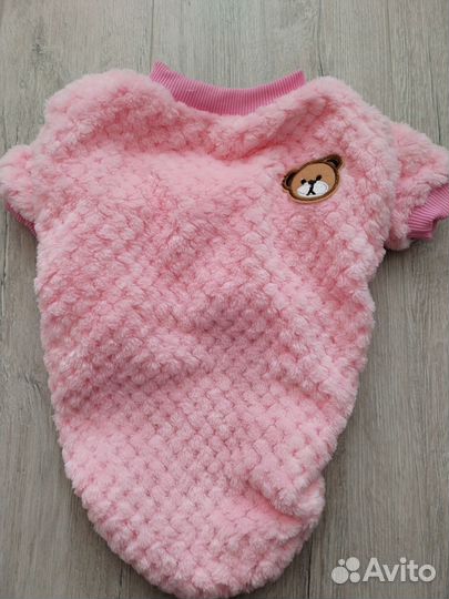 Одежда для животных