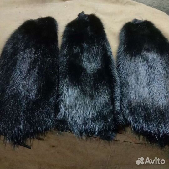 Шкурка животного